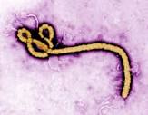 ebola nigeria molly ibadan